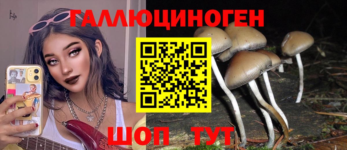 Псилоцибиновые грибы ЛСД Вязьма