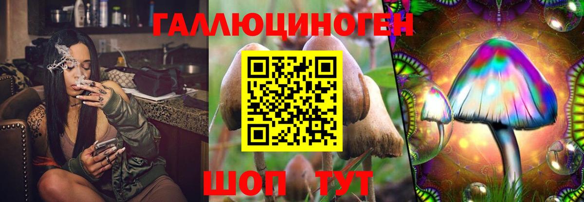 Галлюциногенные грибы Cubensis  Галлюциногенные грибы ЛСД  Вход с VPN  Вязьма 